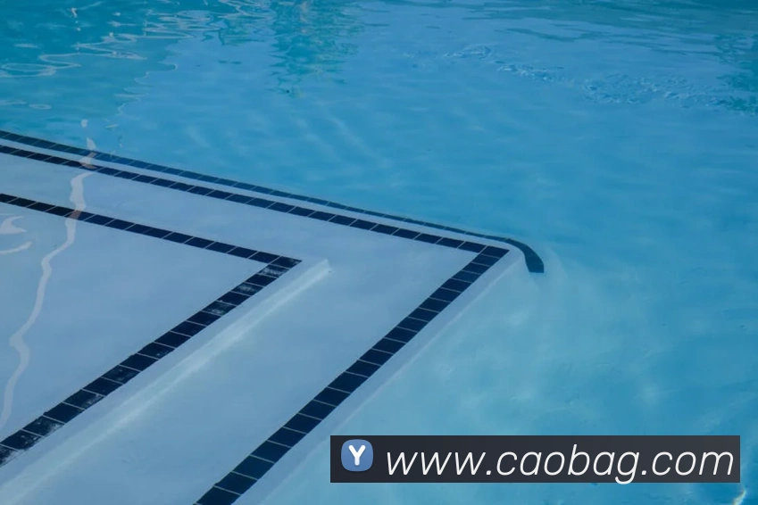 奖项证书